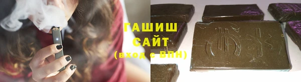 СК Алексин