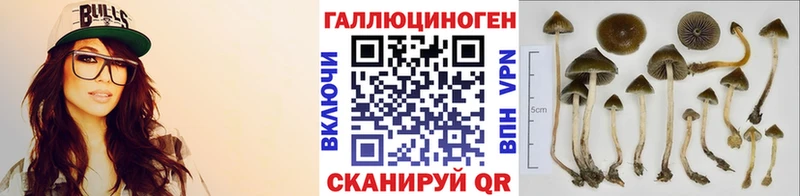 Галлюциногенные грибы Psilocybine cubensis  дарк нет как зайти  Слободской 